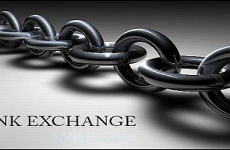 Link Exchange