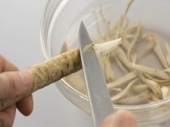 shavings-sasagaki