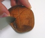 shiitake-deco