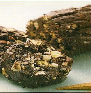 Chocolate Salami チョコレートサラミ