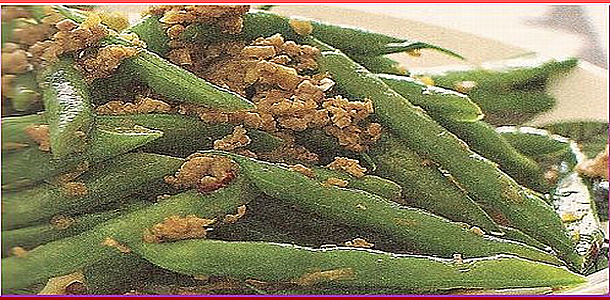 Stir Fried String Bean and Ground Pork いんげんと豚ひきの炒め物