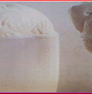 Honey Vanilla Ice Cream はちみつバニラアイスクリーム