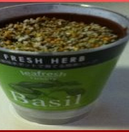 basil-grow-kit