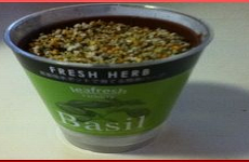 basil-grow-kit