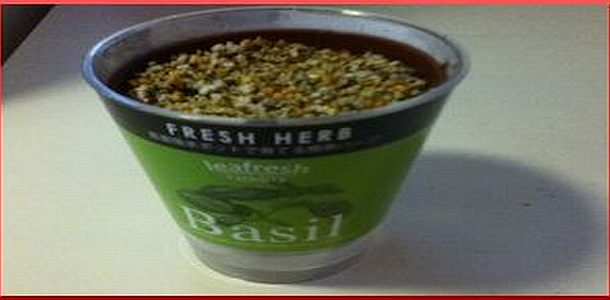 basil-grow-kit