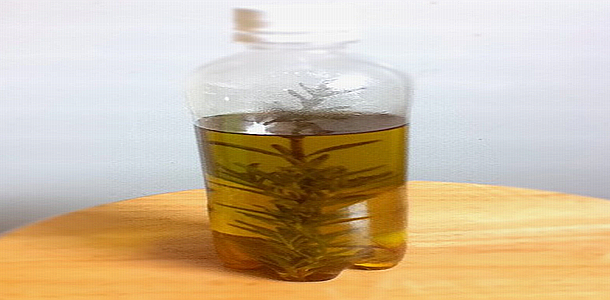 Herb Oil-MPO